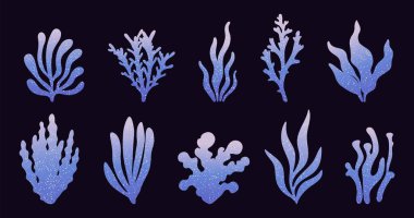 Gradyan tasarımlı bir dizi fantezi deniz yosunu çizimi. Tatlı yosunlar ve mercanlar. Su altı elementleri. Deniz temalı tasarımlar, hatıra defteri, baskı için mükemmel..