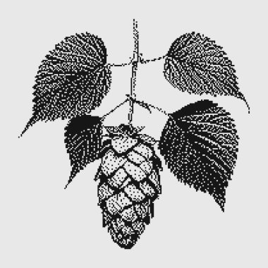 Koni ve yapraklarla birlikte yarım tonlu bir hop bitkisi çizimi. Klasik dergi tarzı. Bira etiketleri, botanik tasarımlar, retro baskılar, organik ambalajlama, demleme grafikleri için mükemmel..