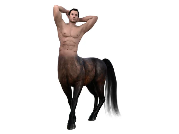 Rendering Portrait Handsome Male Centaur Posing His Body Isolated White — Stock Photo, Image