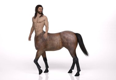 3D görüntüleme: Yakışıklı erkek Centaur 'un bir portresi, vücuduna ok ve yayla poz veriyor.