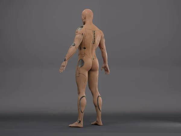 3D渲染 白色背景上站立的男性机器人的肖像 — 图库照片