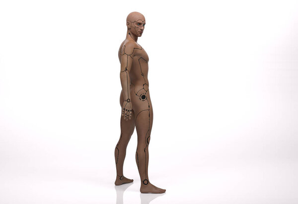 3D Render : the portrait of standing male cyborg on the white background