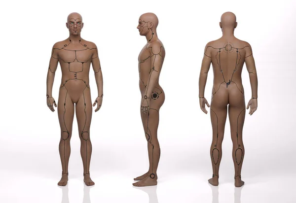 3Dレンダー 白い背景に立っている男性のサイボーグの肖像画 — ストック写真