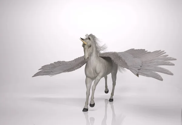 Render Retrato Fantasia Cavalo Unicórnio Com Asas — Fotografia de Stock