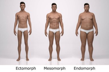 3D Render: Ayakta duran erkek gövde tipinin ön görünümü: ektomorf (sıska tip), mesomorf (kas tipi), endomorph (ağır ağırlık tipi))