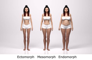 3D Render: Ayakta duran kadın vücut tipinin ön görünümü: ektomorf (sıska tip), mesomorf (kas tipi), endomorf (ağır ağırlık tipi))