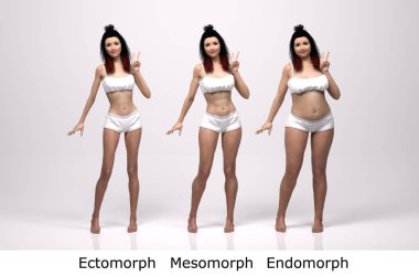 3D Render: Ayakta duran kadın vücut tipinin ön görünümü: ektomorf (sıska tip), mesomorf (kas tipi), endomorf (ağır ağırlık tipi))