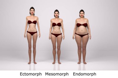 3D Render: Ayakta duran kadın vücut tipinin ön görünümü: ektomorf (sıska tip), mesomorf (kas tipi), endomorf (ağır ağırlık tipi))