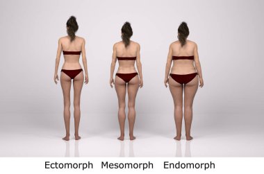 3D Render: Ayakta duran kadın vücut tipinin arka görünümü: ektomorf (sıska tip), mesomorf (kas tipi), endomorf (ağır ağırlık tipi))