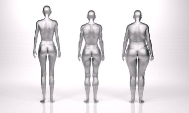 3D Render: Ayakta duran kadın vücut tipinin arka görünümü: ektomorf (sıska tip), mesomorf (kas tipi), endomorf (ağır ağırlık tipi))