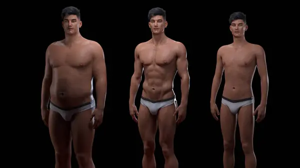 3D渲染 站立男性身体类型的前视图 Ectomorph Mesomorph 肌肉型 Endomorph 重量型 — 图库照片