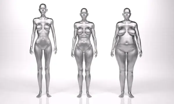 3D渲染 站立女性身体类型的前视图 Ectomorph Mesomorph 肌肉型 Endomorph 重量型 — 图库照片