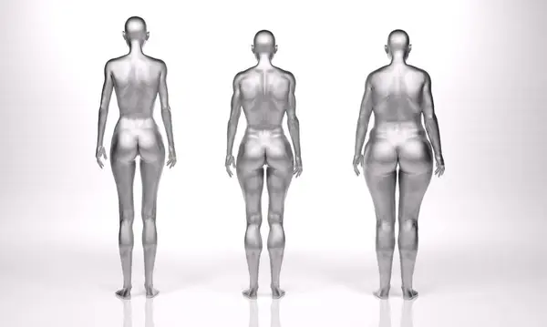 3D渲染 站立女性身体类型的背景图 Ectomorph Mesomorph 肌肉型 Endomorph 重量型 — 图库照片