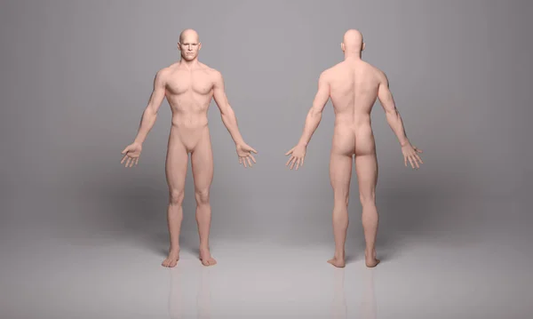 3D渲染 一个具有硅胶体纹理显示的站立的男性体表 — 图库照片