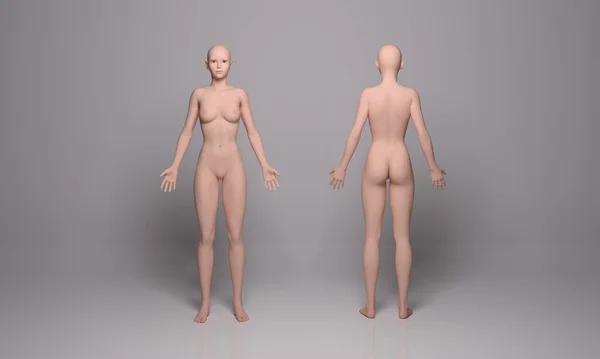 Render Eine Stehende Weibliche Körperillustration Mit Silikon Körperstruktur — Stockfoto