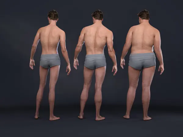3D Render : the diversity of male body shape including  ectomorph (skinny type), mesomorph (muscular type), endomorph(heavy weight type), back view