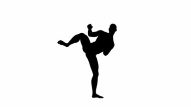 3D Render: bir siluet erkek karakter beyaz arkaplan ile 360 derece yardımcı dövüş sanatları icra