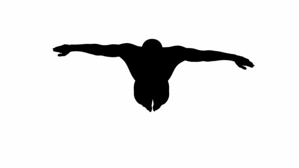 Render Een Silhouet Mannelijk Karakter Uit Voeren Vlinder Stijl Zwemmen — Stockvideo