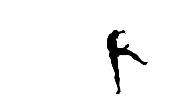 Render Silhouette Male Character Perform Arial Somersault Martial Arts White Royalty Free Stock Footage