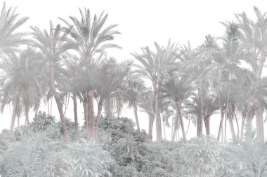 Tropik duvar kağıdı, tropik ağaçlar ve yapraklar, dijital baskı için duvar kağıdı tasarımı - 3D illüstrasyon