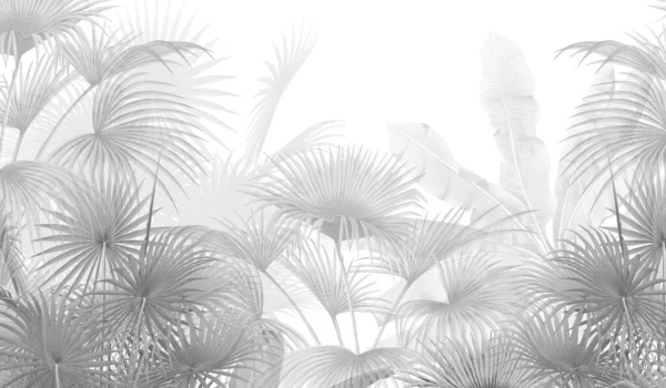 热带墙纸 热带树木和树叶 数码印刷墙纸设计 3D插图 — 图库照片