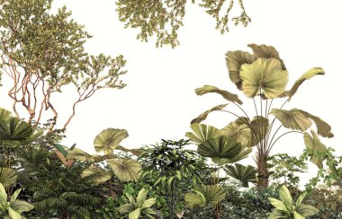 Tropik duvar kağıdı, tropik ağaçlar ve yapraklar, dijital baskı için duvar kağıdı tasarımı - 3D illüstrasyon