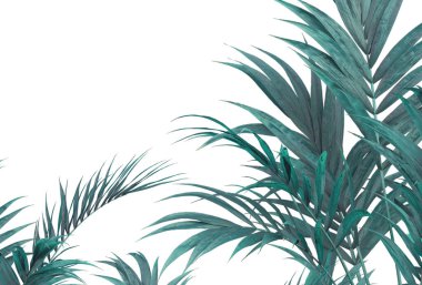 Tropik duvar kağıdı, tropik ağaçlar ve yapraklar, dijital baskı için duvar kağıdı tasarımı - 3D illüstrasyon