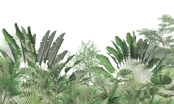 熱帯の壁紙 熱帯の木々や葉 デジタル印刷のための壁紙デザイン 3Dイラスト — ストック写真