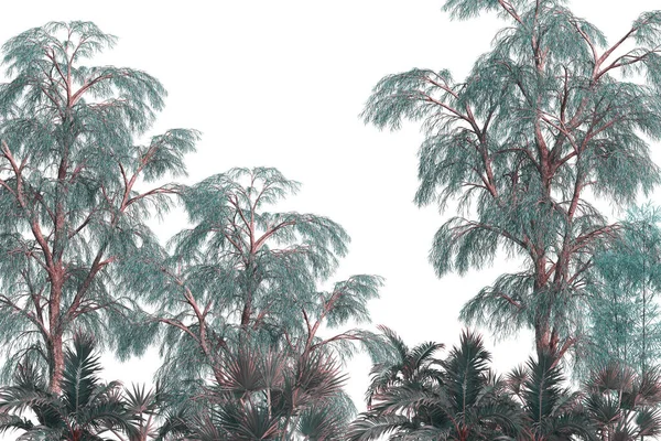 의나무와 디지털 출력을 디자인 — 스톡 사진