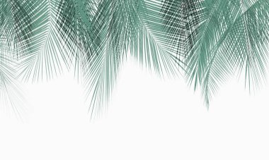 Tropik duvar kağıdı, tropik ağaçlar ve yapraklar, dijital baskı için duvar kağıdı tasarımı - 3D illüstrasyon