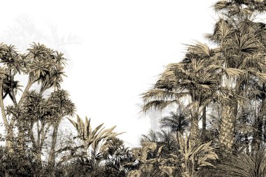 Tropik duvar kağıdı, tropik ağaçlar ve yapraklar, dijital baskı için duvar kağıdı tasarımı - 3D illüstrasyon