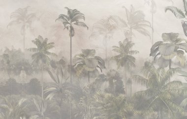 Palmiye ağaçları ve sisli sisli tropikal orman.