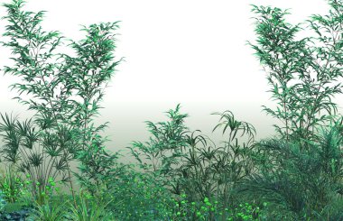 Beyaz arka plan, doğa ve bitkilere sahip yeşil bitkilerin 3 boyutlu çizimi