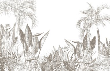 Tropik duvar kağıdı, tropik ağaçlar ve yapraklar, dijital baskı için duvar kağıdı tasarımı - 3D illüstrasyon