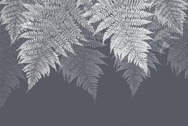 Tropik duvar kağıdı, tropik ağaçlar ve yapraklar, dijital baskı için duvar kağıdı tasarımı - 3D illüstrasyon