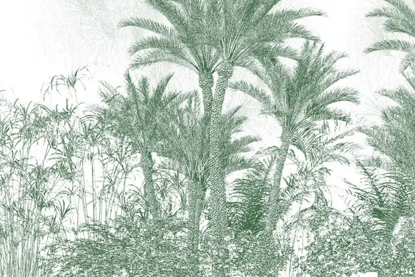 Tropical Wallpaper Tropic Trees Leaves Wallpaper Design Digital Printing Illustration — Stock Photo, Image