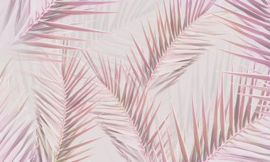Tropik duvar kağıdı, tropik ağaçlar ve yapraklar, dijital baskı için duvar kağıdı tasarımı - 3D illüstrasyon