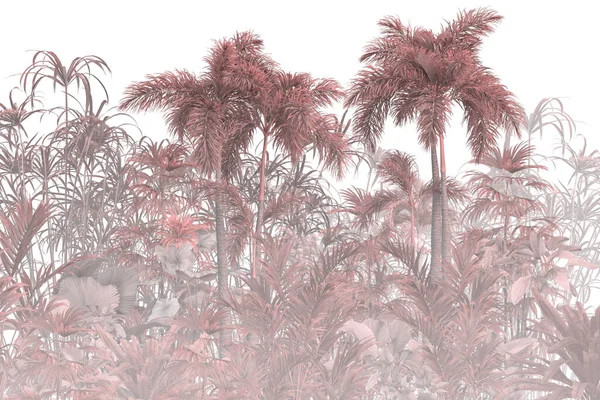 熱帯の庭にあるヤシの木 — ストック写真