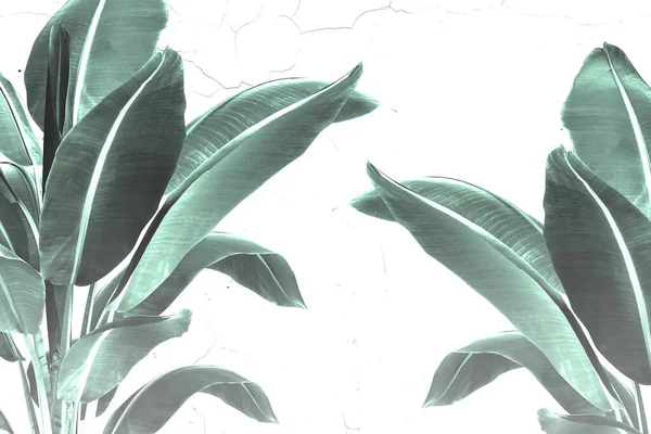 Tropical trees and leaves wallpaper design, oil paint effect