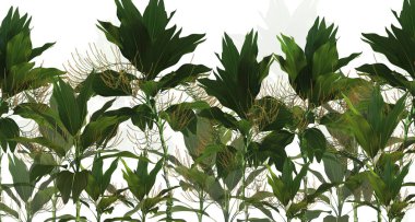 Tropik ağaçlar ve yapraklar duvar kağıdı tasarımı, yağlı boya etkisi