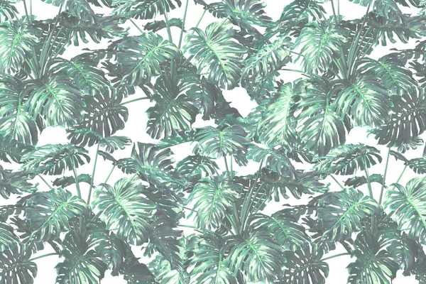 Tropiska Träd Och Blad Tapet Design Oljefärg Effekt Royaltyfria Stockbilder