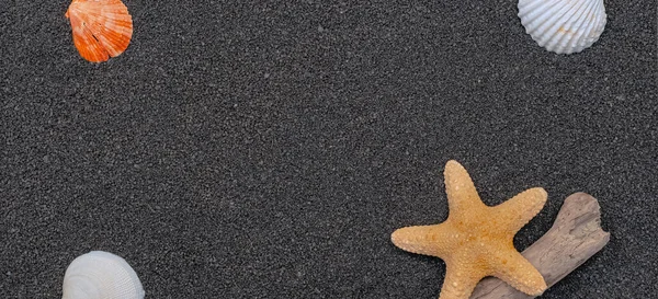 Muscheln Auf Schwarzem Sandgrund Mit Offenem Raum — Stockfoto