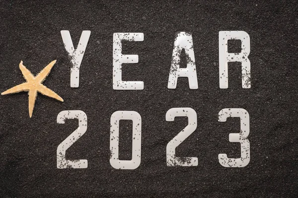 Yeni yıl 2023 kavramınız kutlu olsun. Siyah kumsalda deniz yıldızı ve deniz kabuğu. Güneşin altında kış tatili.