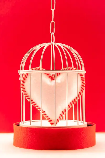 Valentijnsdag Arrangement Met Hart Een Vogelkooi — Stockfoto