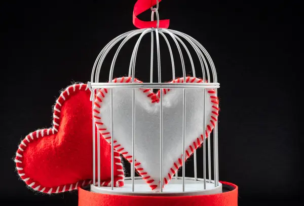 Valentijnsdag Arrangement Met Hart Een Vogelkooi — Stockfoto