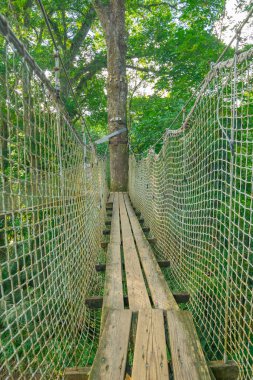 Jardins de la Balata, Fort-De-France, Martinique 'de. Fransız Batı Hint Adalarının egzotik bahçeleri.