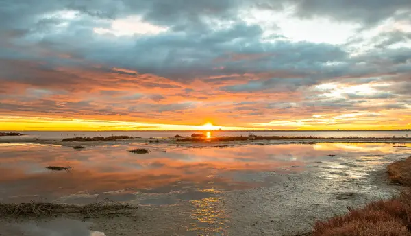 Vista Pôr Sol Uma Lagoa Camargue Reserva Natural Protegida Imagens De Bancos De Imagens Sem Royalties