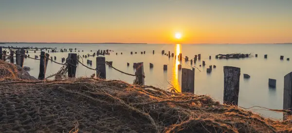 Camargue Gölünde Gün Batımı Manzarası Doğa Koruma Alanı Stok Resim