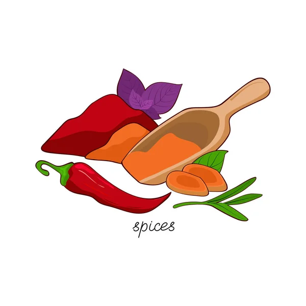Beyaz arka planda baharatlar. Mutfak projeleri, menüler, ambalajlar için el çizimi vektör çizimi. Tumeric, fesleğen, biber