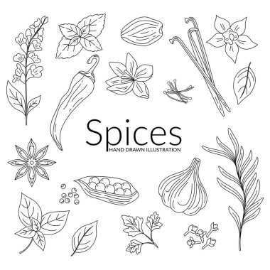 Spices. Hand drawn vector illustration. Line art. Use to create menus, packaging, prints.
